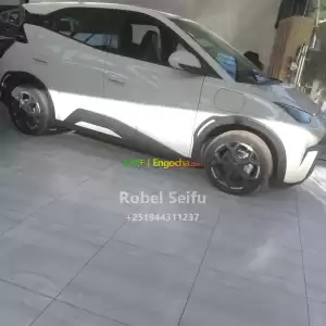 byd seagull Price in Ethiopia