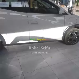 byd seagull Price in Ethiopia