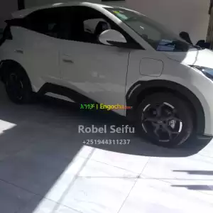 byd seagull Price in Ethiopia