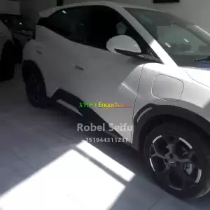 byd seagull in Ethiopia