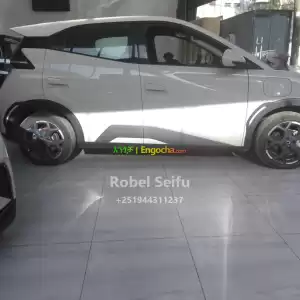 byd seagull in Ethiopia