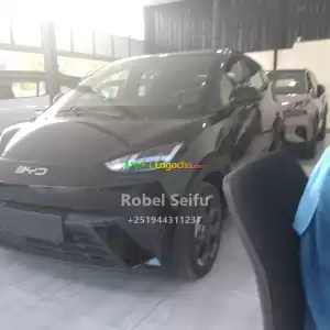 byd seagull Price in Ethiopia