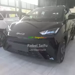 byd seagull Price in Ethiopia