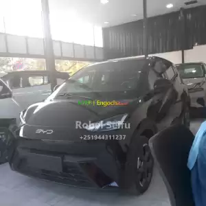 byd seagull in Ethiopia