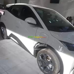 byd seagull in Ethiopia