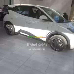 byd seagull Price in Ethiopia