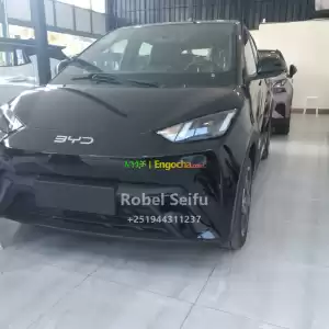 byd seagull Price in Ethiopia