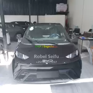 byd seagull Price in Ethiopia