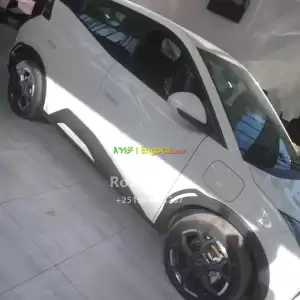 byd seagull Price in Ethiopia