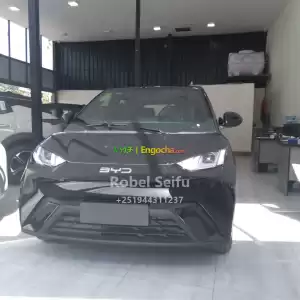 byd segul Price in Ethiopia