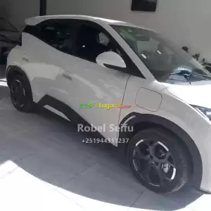 byd segul Price in Ethiopia