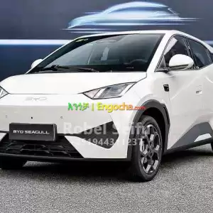 byd segul electric car Price in Ethiopia