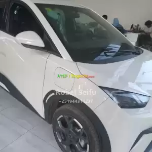 electric byd seagull in Ethiopia