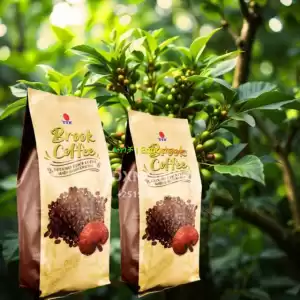 DXN Brook Coffee in Ethiopia