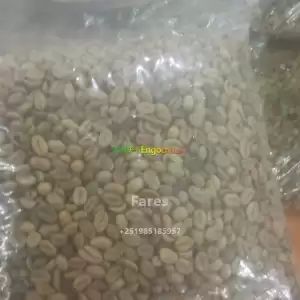 Jima orgin coffee 3rd level export standard coffee Price in Ethiopia