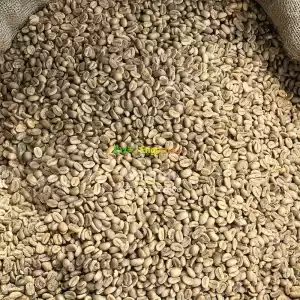 Jimma Coffee in Ethiopia
