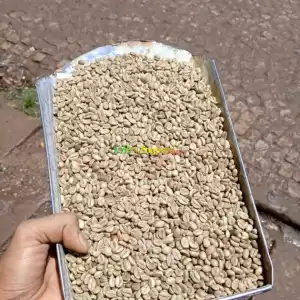 ይርጋጨፌ ቡና Price in Ethiopia