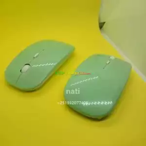 min mouse in Ethiopia