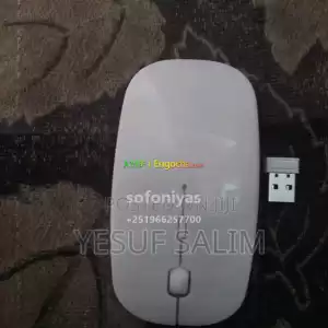 wireless mouse Price in Ethiopia