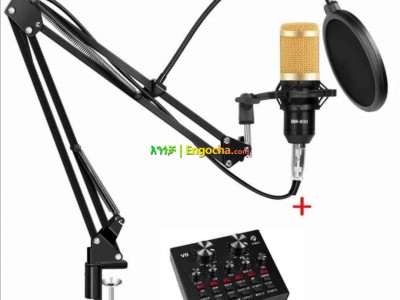 condenser Microphone 