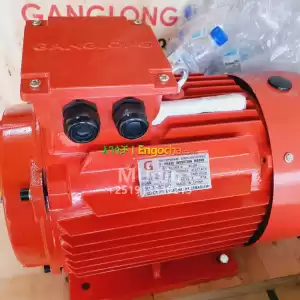 Elctirc motor Price in Ethiopia