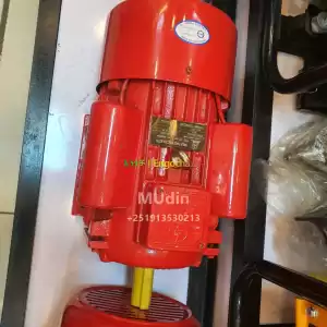 Elctircal motor in Ethiopia