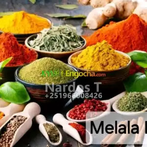 Melala Shiro in Ethiopia