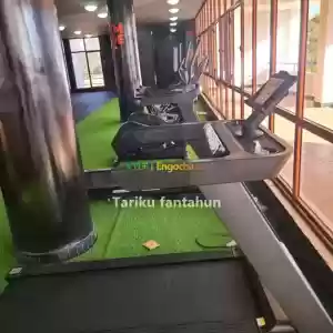 gym market Price in Ethiopia