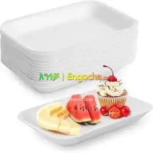 Durable Disposable Foam Trays in Ethiopia