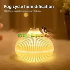 Portable Onion Mini Humidifier, 300ml in Ethiopia