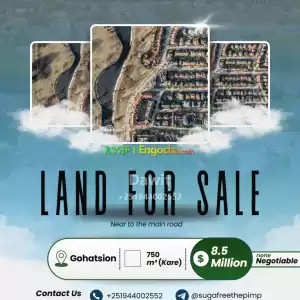 Great Land Investment Price in Ethiopia