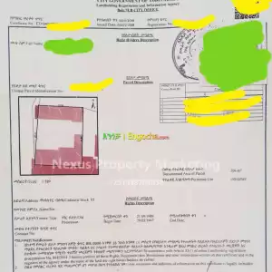 Megenagna-Bole, Commercial Land For Sale .....504sqm Price in Ethiopia