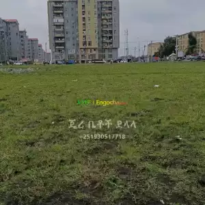 ሚሸጥ ባዶ መሬት Price in Ethiopia