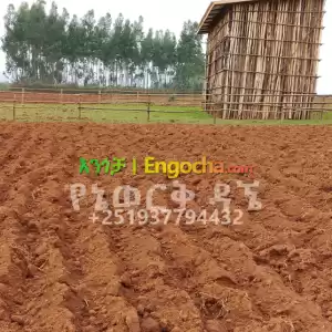 የሚሸጥ መሬት in Ethiopia