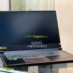 Acer Predator Helios 300 Price in Ethiopia