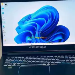 Acer predator Helios 300 in Ethiopia
