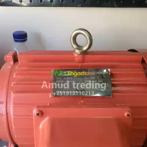 Elctircal motor Price in Ethiopia