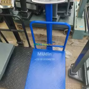 Digital scale Price in Ethiopia