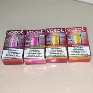 vozol 40000 puff Price in Ethiopia