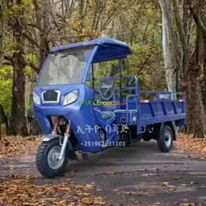 BINGET 200cc Cargo Bajaj in Ethiopia