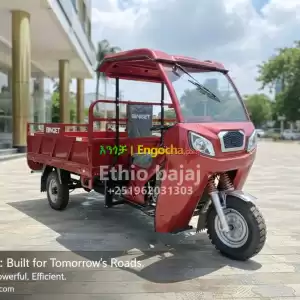 BINGET 200cc Cargo Bajaj in Ethiopia