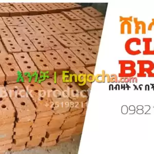 Clay Brick Ethiopia Price in Ethiopia