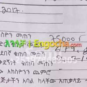 Amigos Share Price in Ethiopia