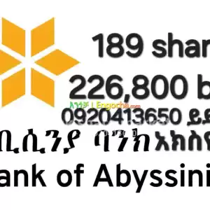 abyssinia bank shares in Ethiopia