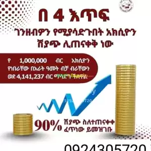 አክሲዮን ሸያጭ Price in Ethiopia