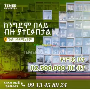 Temer Real Estate Shop For Sale Price in Ethiopia