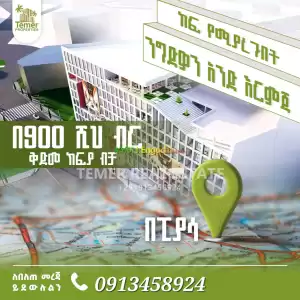 Temer Real Estate Shop for sale in Ethiopia