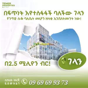 Temer Shop For Sales in Ethiopia