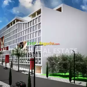 Temer properties for sale Price in Ethiopia