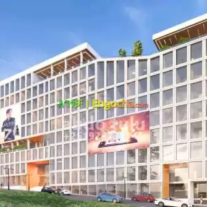 temer property in Ethiopia